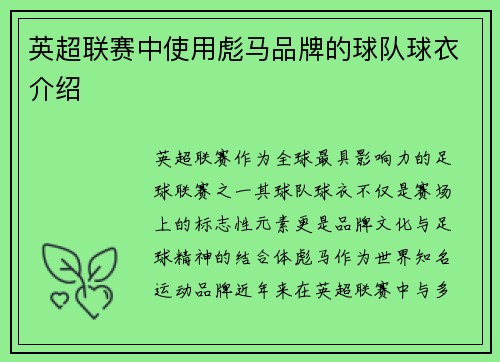 英超联赛中使用彪马品牌的球队球衣介绍